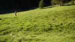 DSCN2710