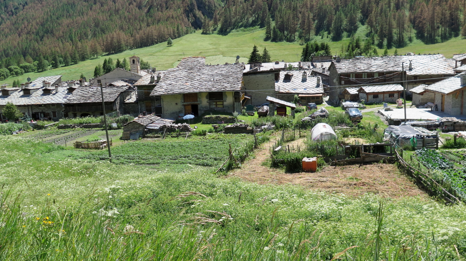 Mont Viso - 91