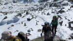 Mont Viso - 79