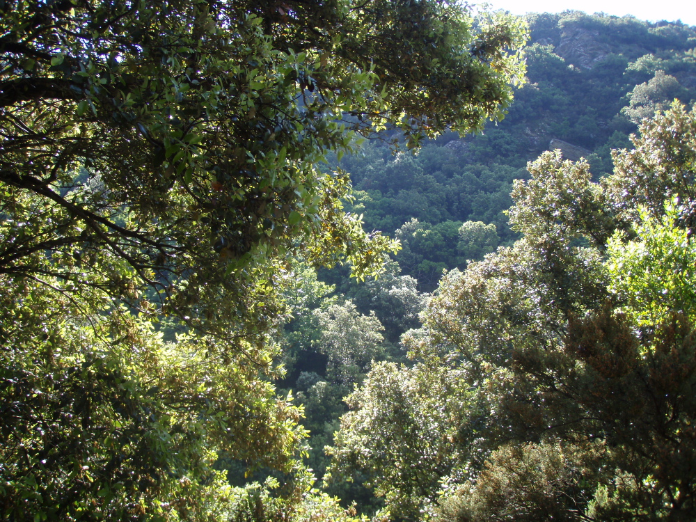 Pilier Dubosc - 08