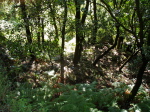 Pilier Dubosc - 03