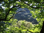 Pilier Dubosc - 06