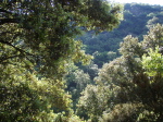 Pilier Dubosc - 08
