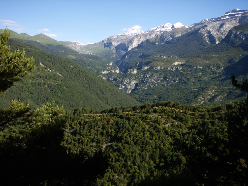 Canyon Consusa - 32
