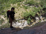 Formiga - 04