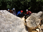 Formiga - 05