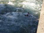 Foz de la Canal - 31