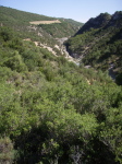 Gorgonchon - 1
