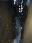 Gorgonchon - 3