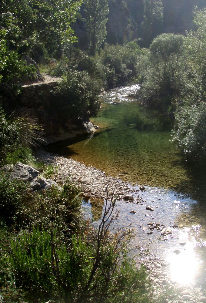 Mascun - 01