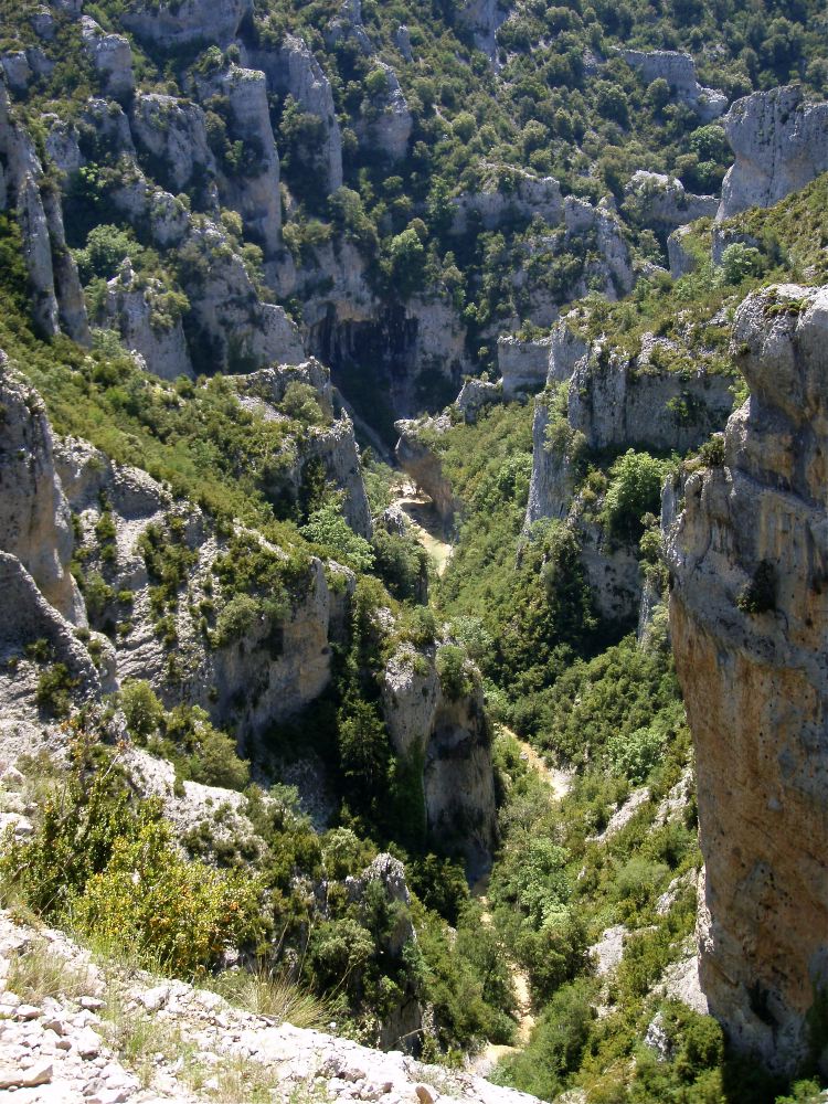 Mascun - 12