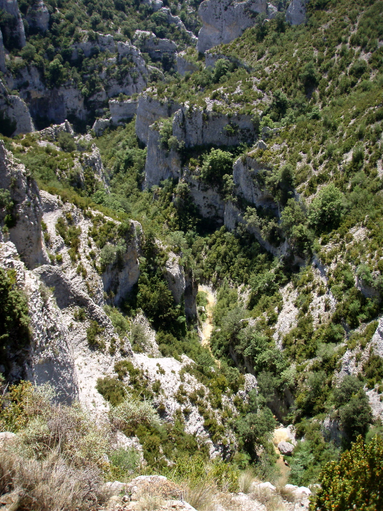 Mascun - 07