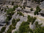 Mascun - 10