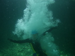 Péonéra - 06