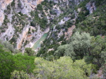 Péonéra - 01