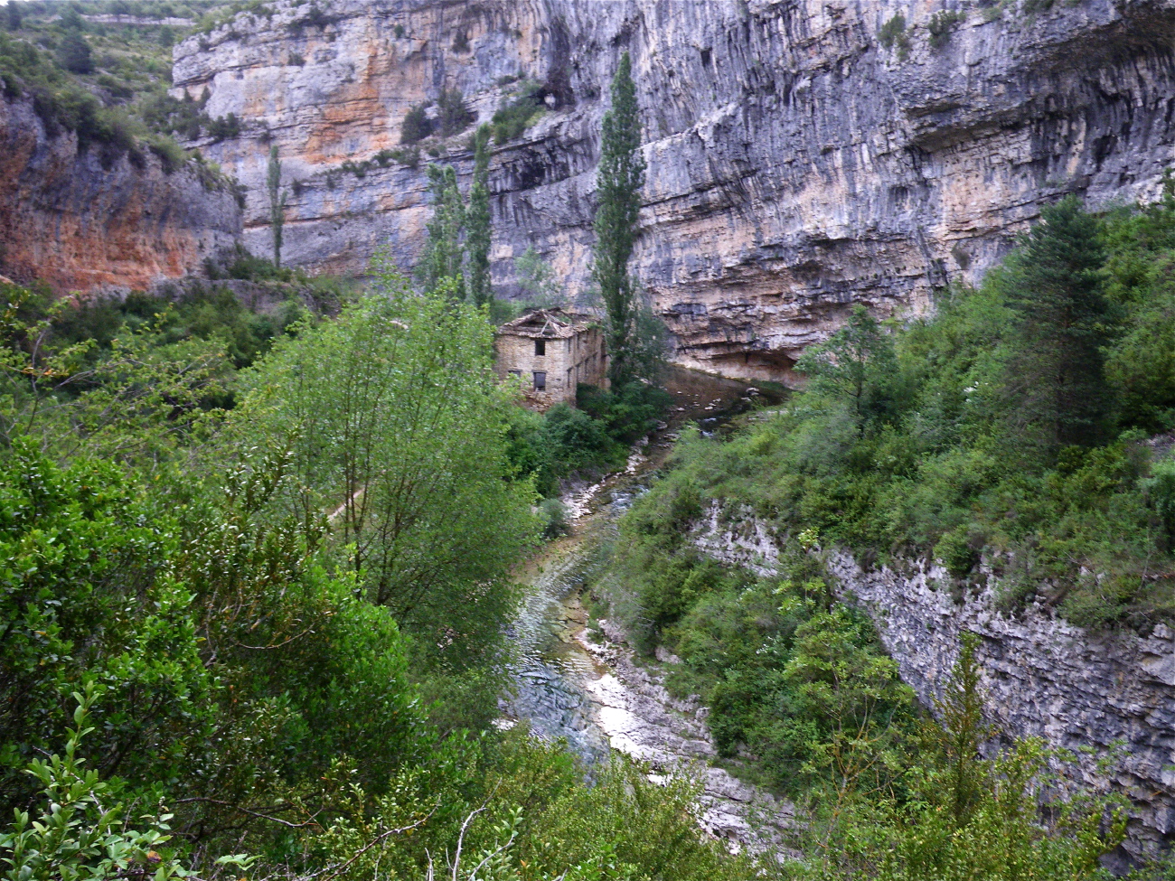 Portiacha - 13