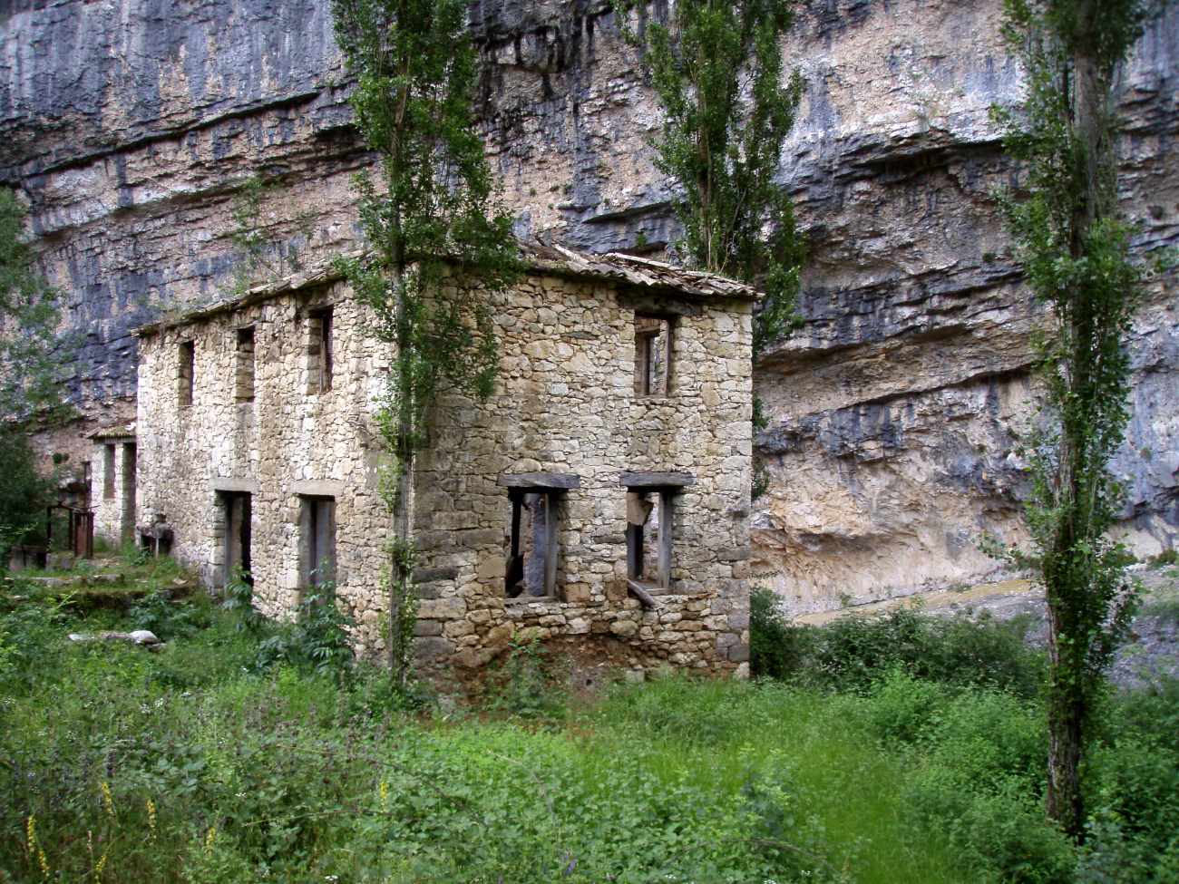 Portiacha - 15
