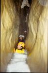 Gorgonchon