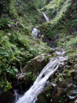 Subra - 24