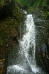 Subra - 25