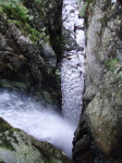 Subra - 31