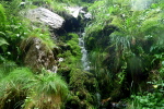 Subra - 07