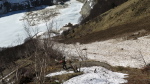 Astau-Portillon - 12