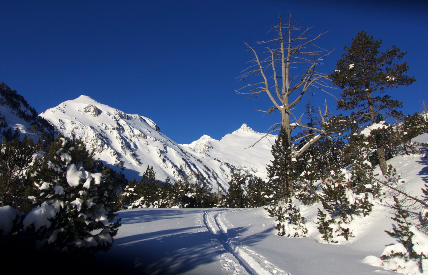 Aubert-Espiaube - 22