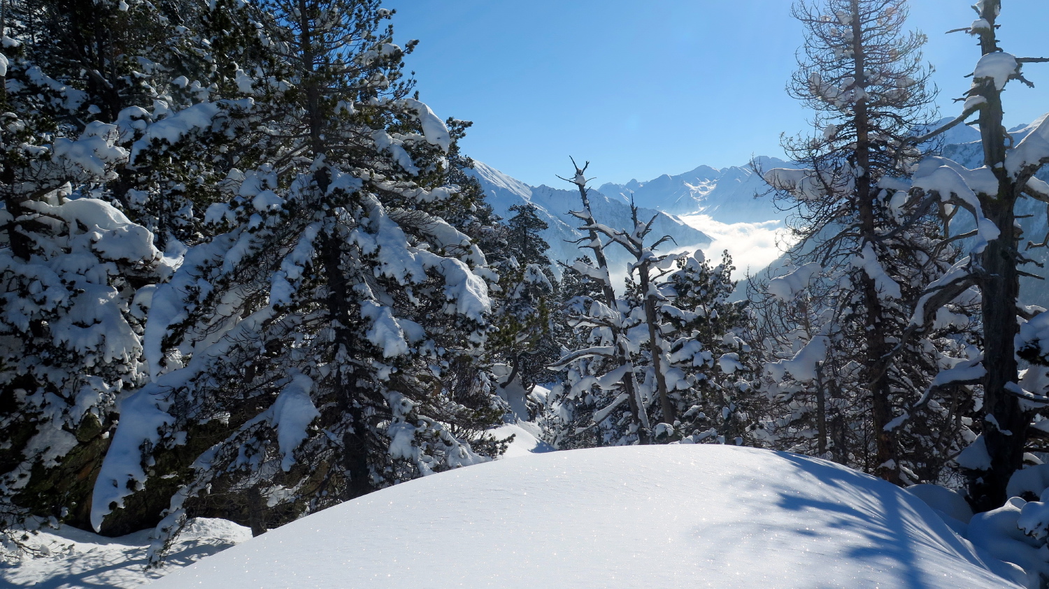 Aubert-Espiaube - 31