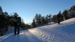 Aubert-Espiaube - 10