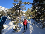 Aubert-Espiaube - 17