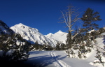 Aubert-Espiaube - 22