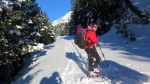 Aubert-Espiaube - 25
