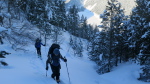 Aubert-Espiaube - 27