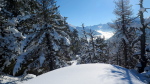 Aubert-Espiaube - 31