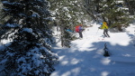 Aubert-Espiaube - 42