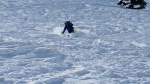 Aubert-Espiaube - 46