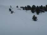 IMG_1798