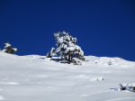 Bacanère - 024