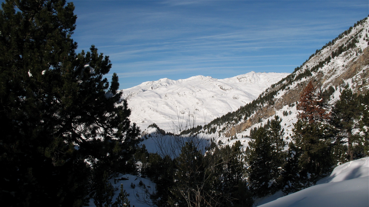 Baciver - 05