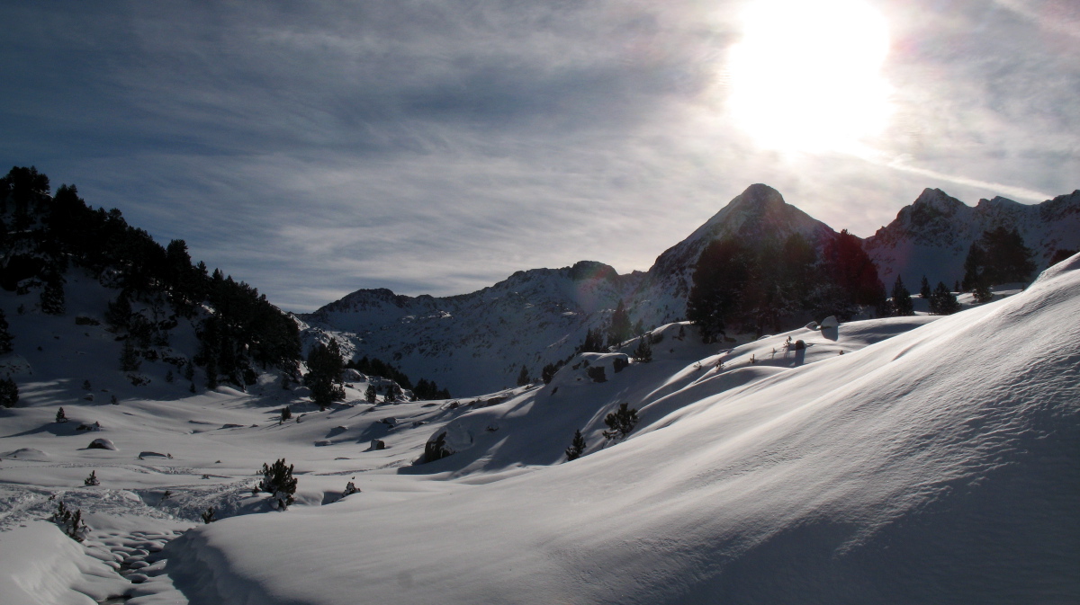Baciver - 08