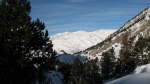 Baciver - 05