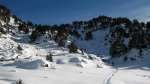 Baciver - 09