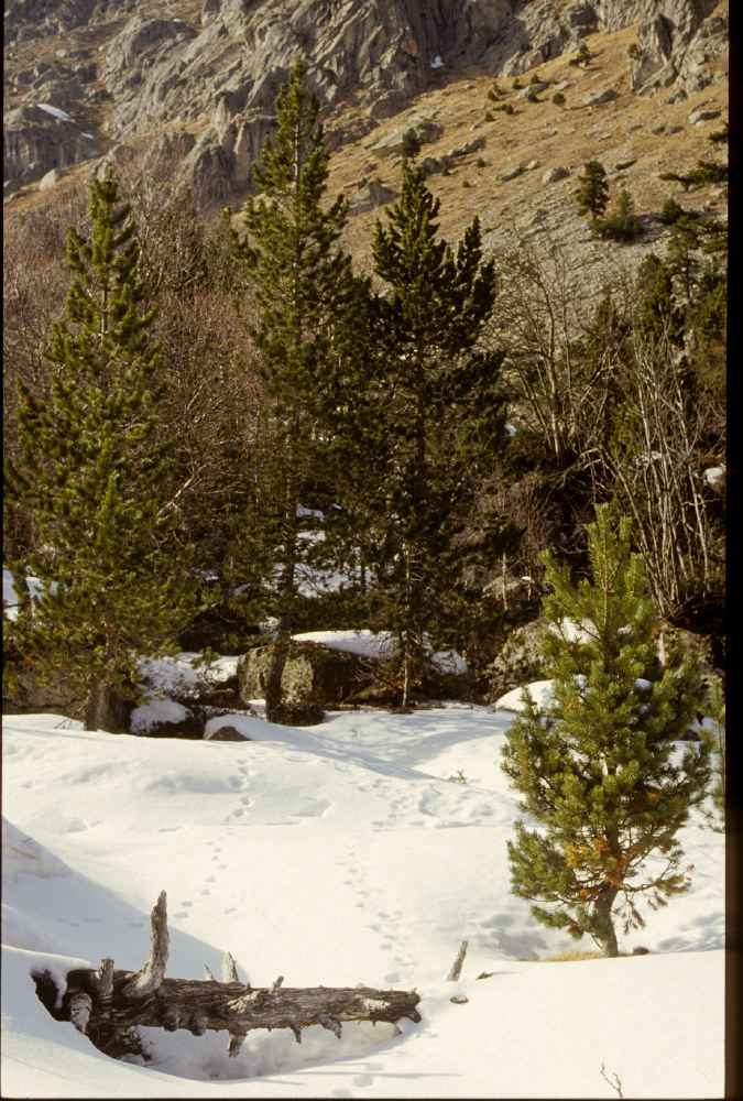Balaïtous - 2