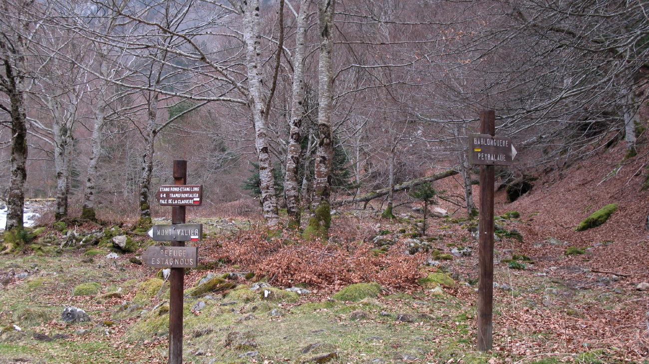 Barlonguère - 36