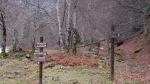 Barlonguère - 36