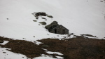 Barlonguère - 07