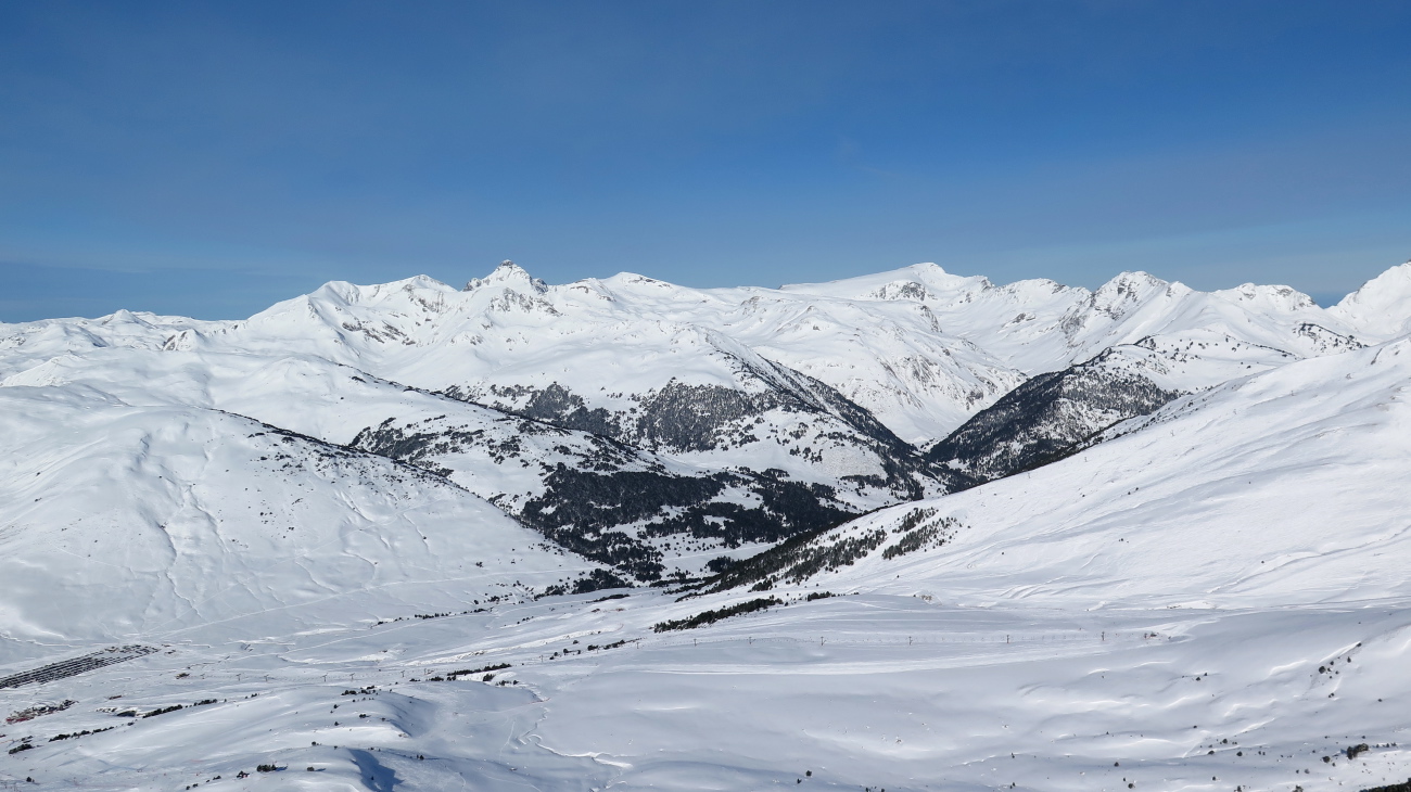 Baciver - 20