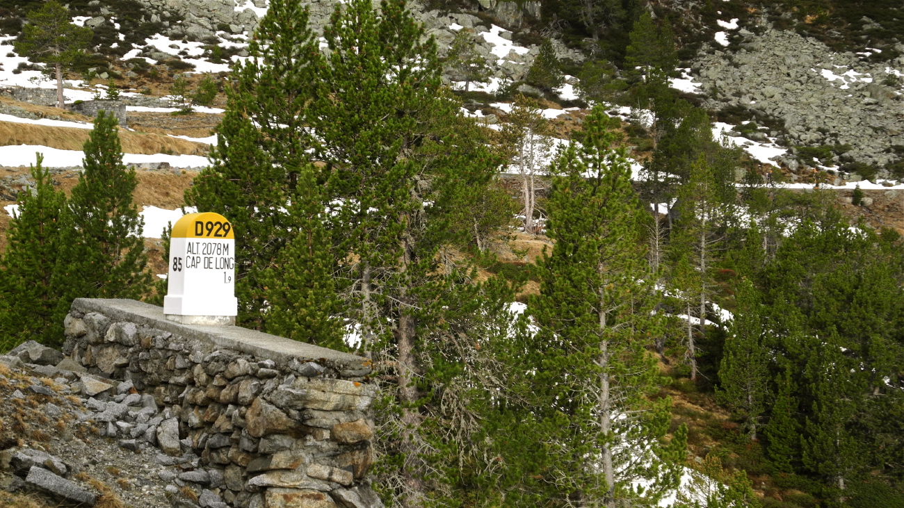 Campbieil 2012 - 07