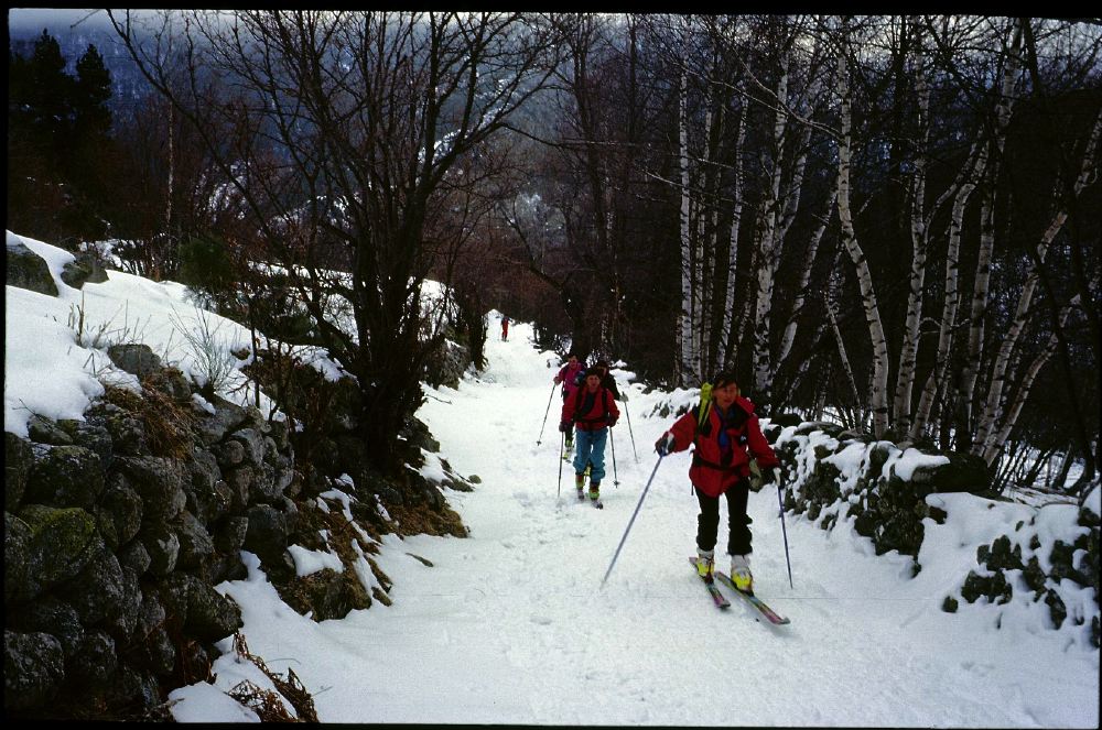 Campcardos 1998 - 01
